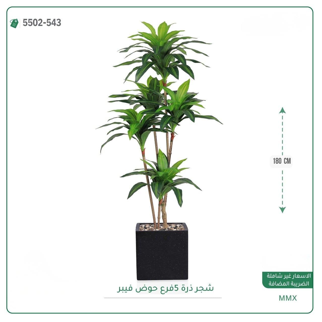 شجر ذرة 5 فرع حوض فيبر مربع 180 سم