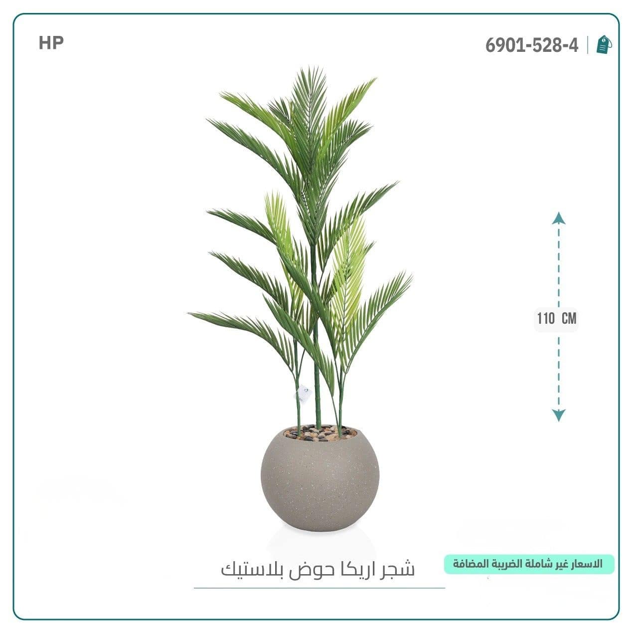 شجره اريكا حوض بلاستيك - الصورة 2