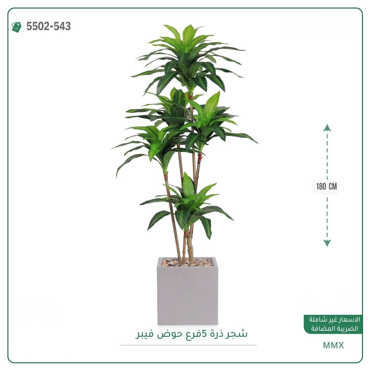 شجر ذرة 5 فرع حوض فيبر مربع 180 سم - الصورة 3
