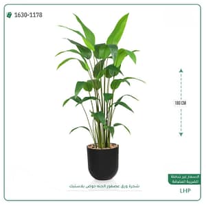 شجرة ورق عصفور الجنه حوض بلاستيك 180 سم