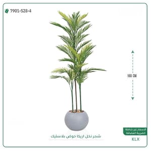 شجر نخل اريكا حوض بلاستيك دائريه 160 سم