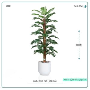 شجر نخل كبير حوض فيبر 180 سم