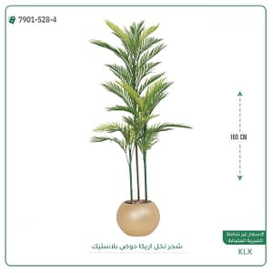 شجر نخل اريكا حوض بلاستيك دائريه 160 سم