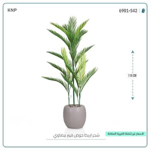 شجر اريكا حوض فيبر بيضاوي 115 سم