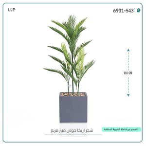 شجر اريكا حوض فيبر مربع 110 سم