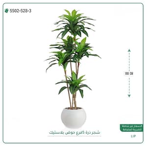 شجر ذرة 5 فرع حوض بلاستيك