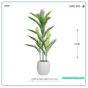 شجر اريكا حوض فيبر بيضاوي 115 سم