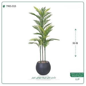 شجر نخل اريكا حوض فيبر 165 سم