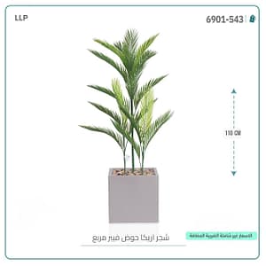 شجر اريكا حوض فيبر مربع 110 سم