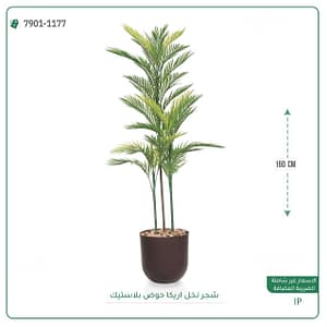 شجر نخل اريكا حوض بلاستيك 160 سم