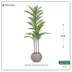 شجر نخل اريكا حوض بلاستيك دائريه 160 سم