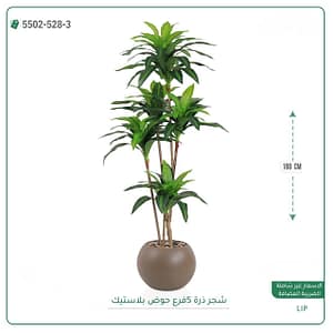 شجر ذرة 5 فرع حوض بلاستيك