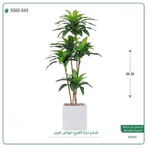 شجر ذرة 5 فرع حوض فيبر مربع 180 سم