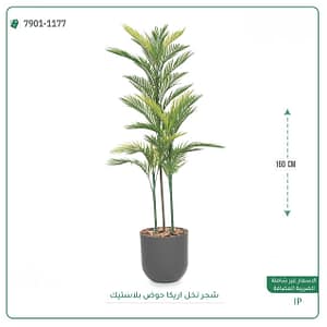 شجر نخل اريكا حوض بلاستيك 160 سم