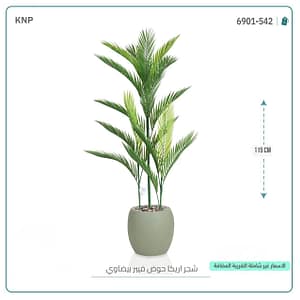 شجر اريكا حوض فيبر بيضاوي 115 سم