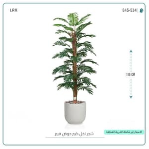 شجر نخل كبير حوض فيبر 180 سم