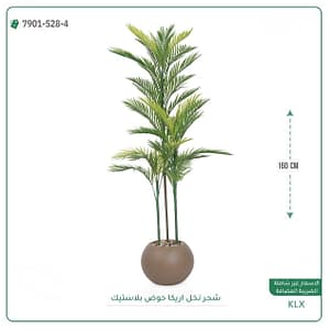 شجر نخل اريكا حوض بلاستيك دائريه 160 سم