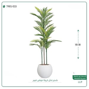 شجر نخل اريكا حوض فيبر 165 سم