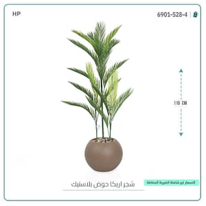 شجره اريكا حوض بلاستيك
